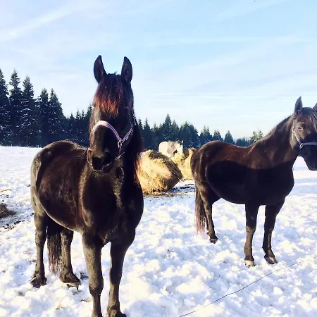 Magistrala Bedřichov