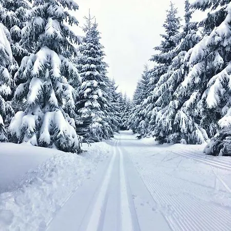 בקתה Magistrala Bedřichov