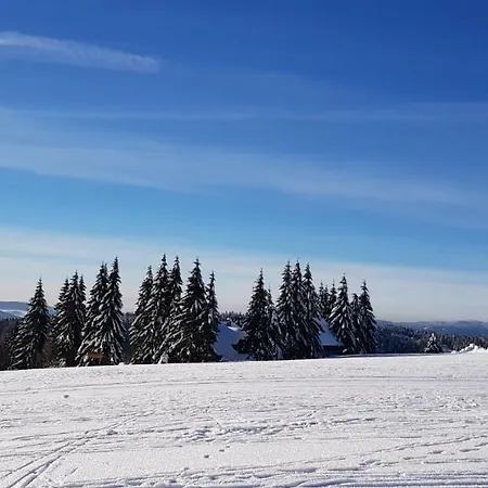 בקתה Magistrala *