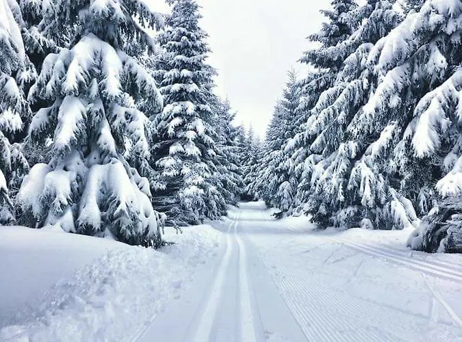 Alpstuga Magistrala Bedřichov