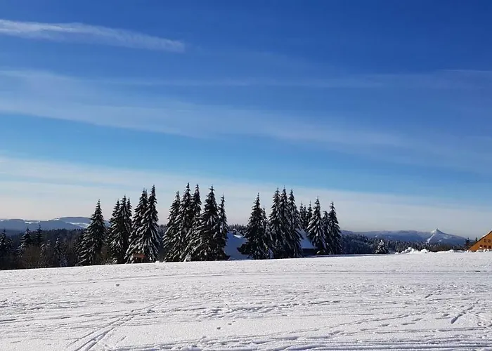 Alpstuga Magistrala *